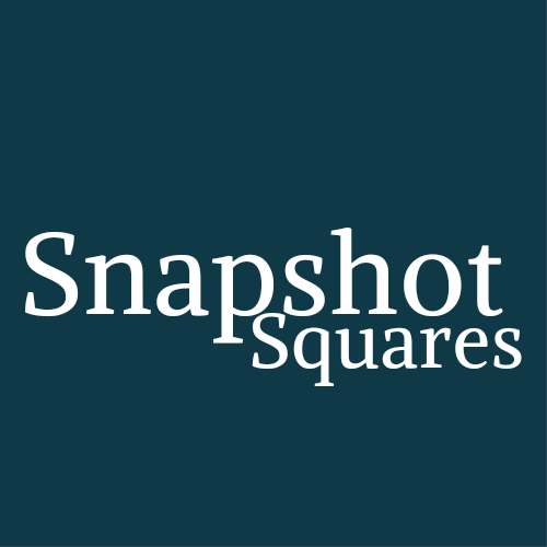 Snapshot Squares